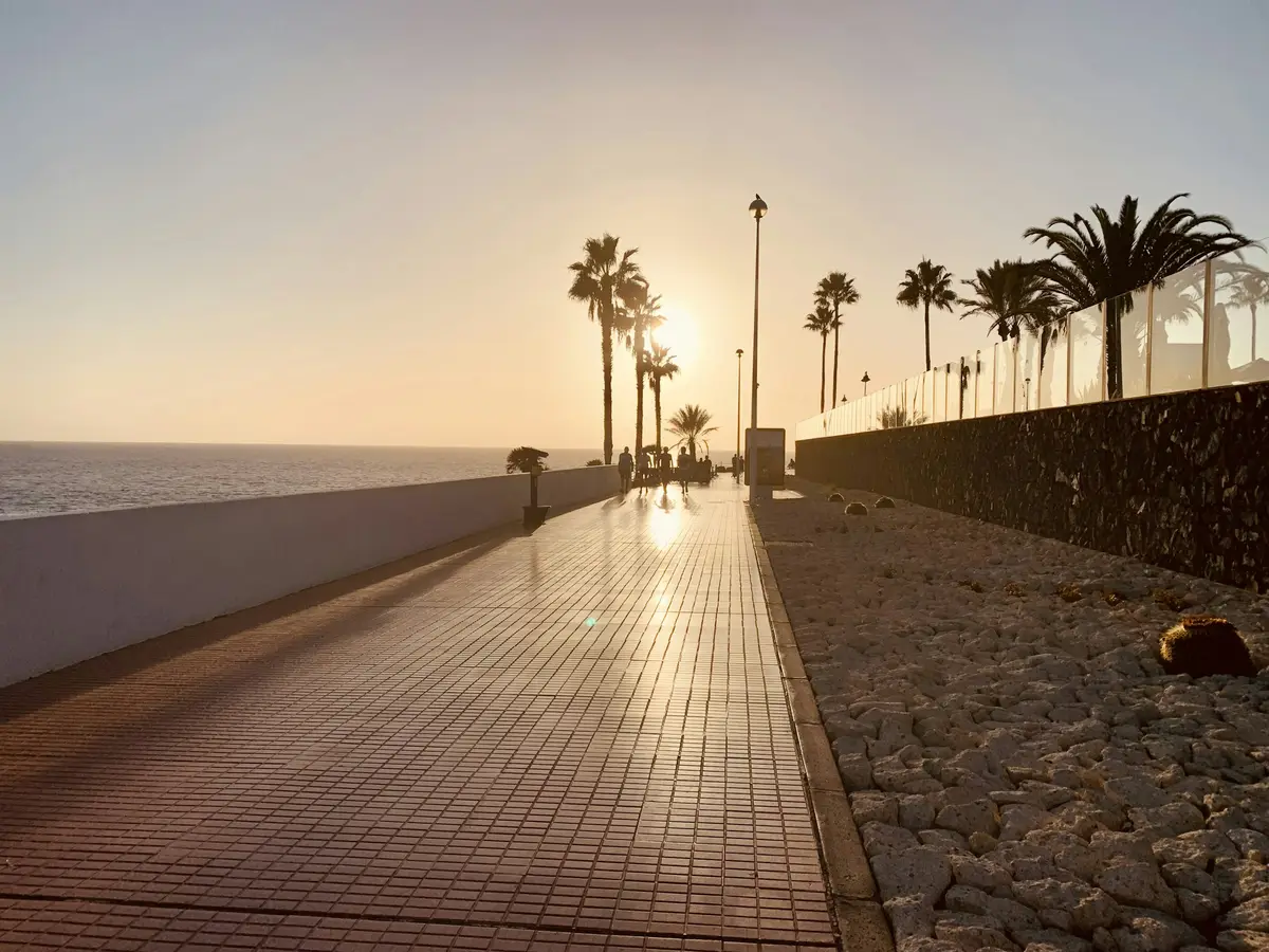 Costa Adeje coastal path and palm trees near sunset