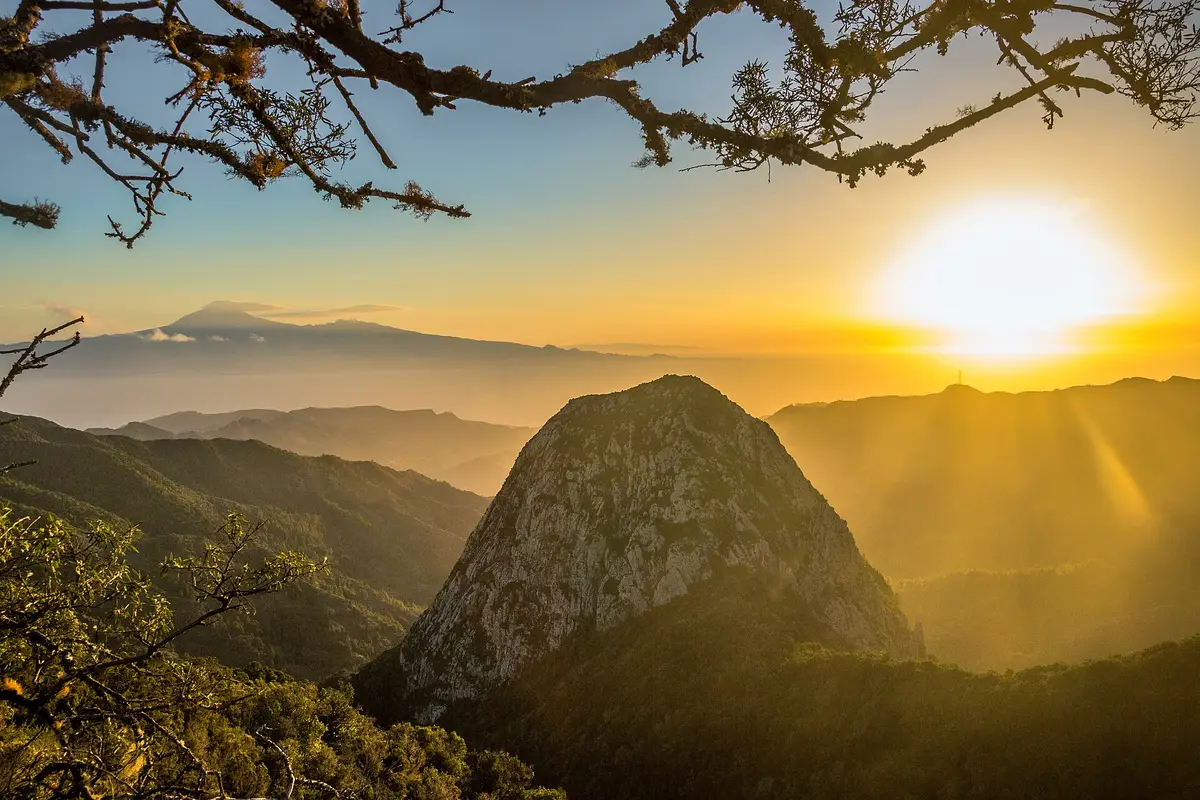 Laurisilva landscape in Garajonay National Park on La Gomera